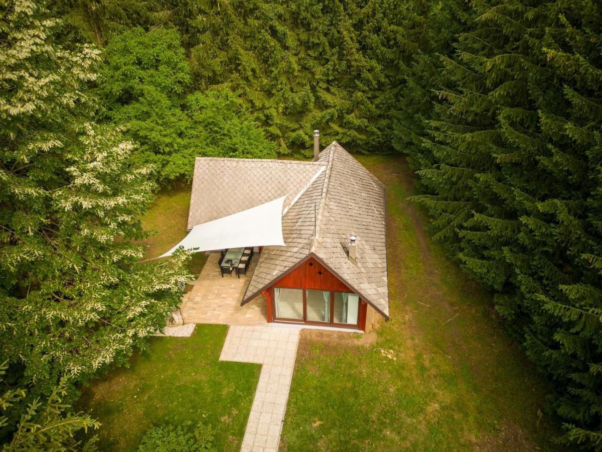Вилла Cebelnk: Sanjska Hisica 4 Km Od Bleda Лешче Экстерьер фото